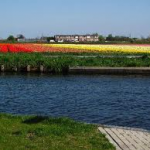 Aankoopmakelaar Lisse